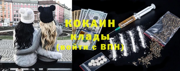 дживик Переславль-Залесский