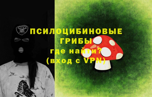 прущие грибы Балахна