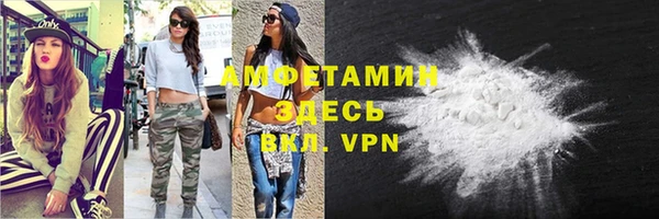 a pvp Пересвет